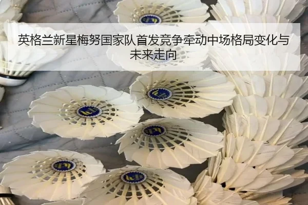 英格兰新星梅努国家队首发竞争牵动中场格局变化与未来走向