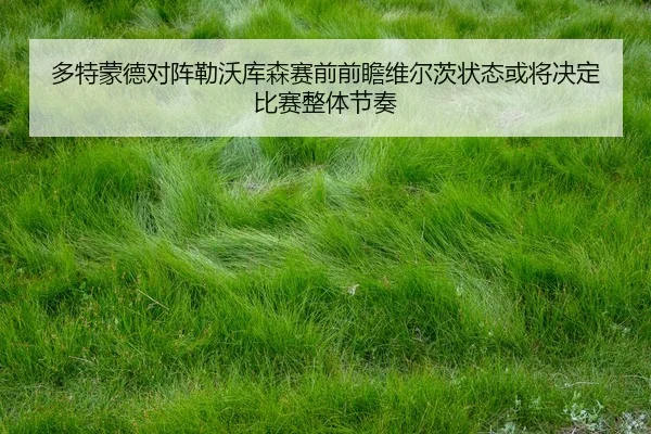 多特蒙德对阵勒沃库森赛前前瞻维尔茨状态或将决定比赛整体节奏