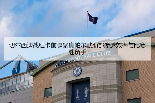 切尔西迎战纽卡前瞻聚焦帕尔默肋部渗透效率与比赛胜负手